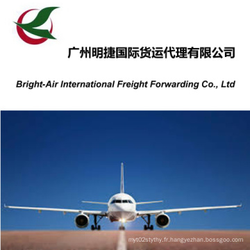 International Courier Express Agent de logistique de transport de marchandises Expéditeur de fret de Chine continentale à Malaisie